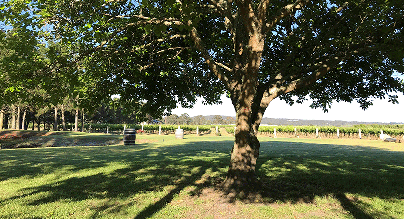 Summit Estate Garden